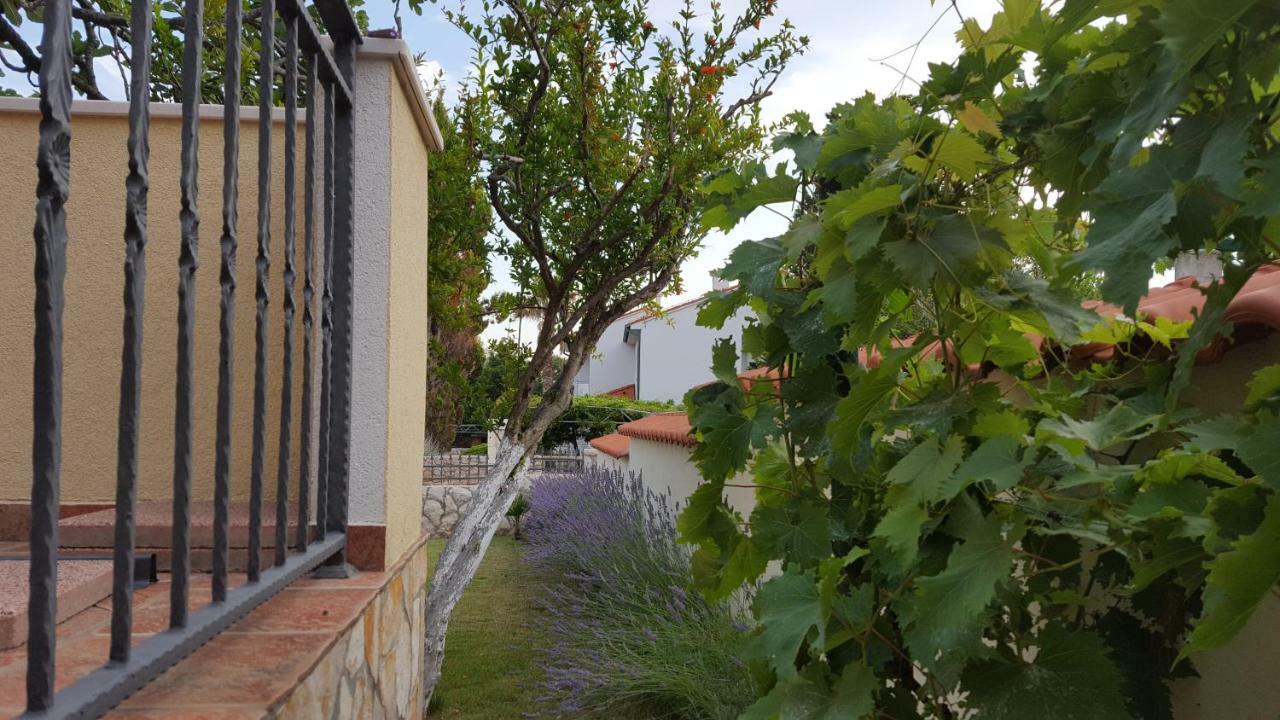 Holiday House Lavanda Vrsi Kültér fotó